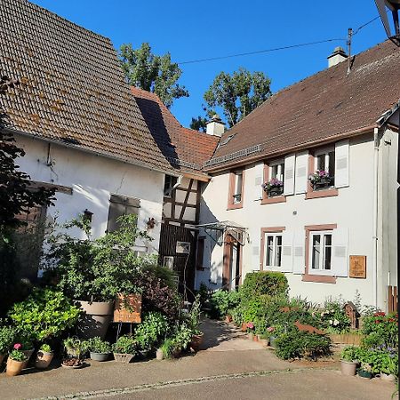 La Renardiere Reichshoffen 외부 사진